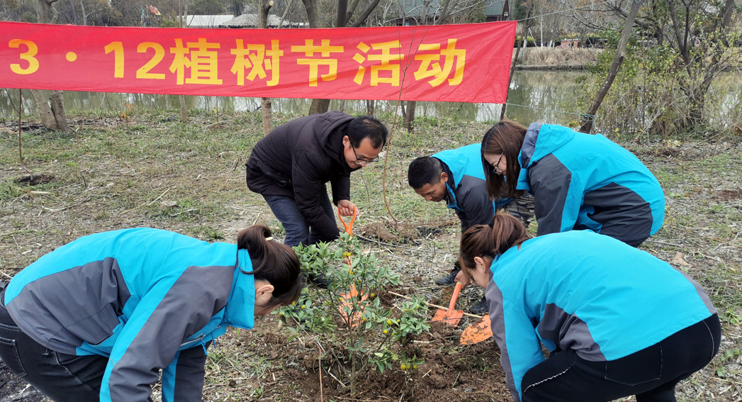 开沙岛途居露营人植树节活动1