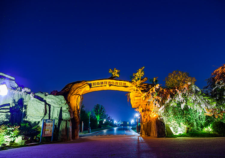 zhidao