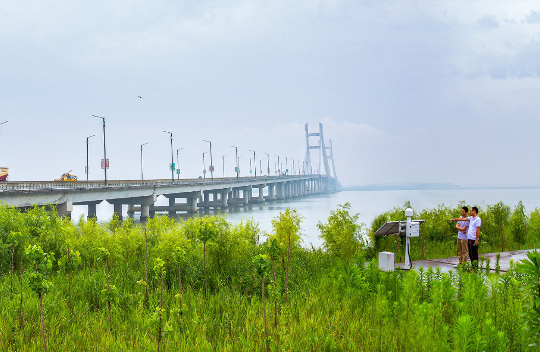 开沙岛东沙大桥