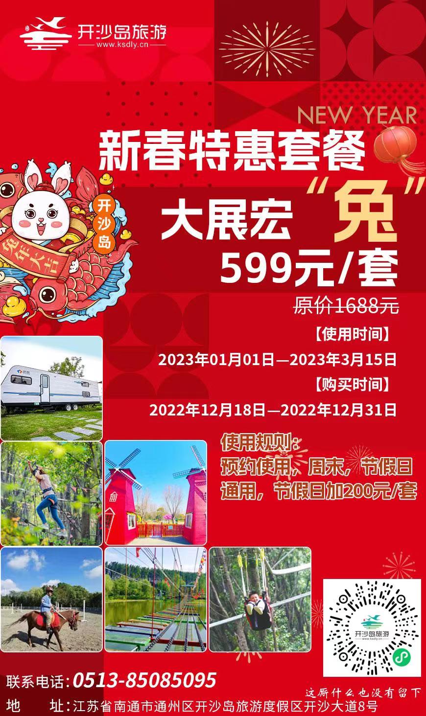 分销图新春特惠599海报1