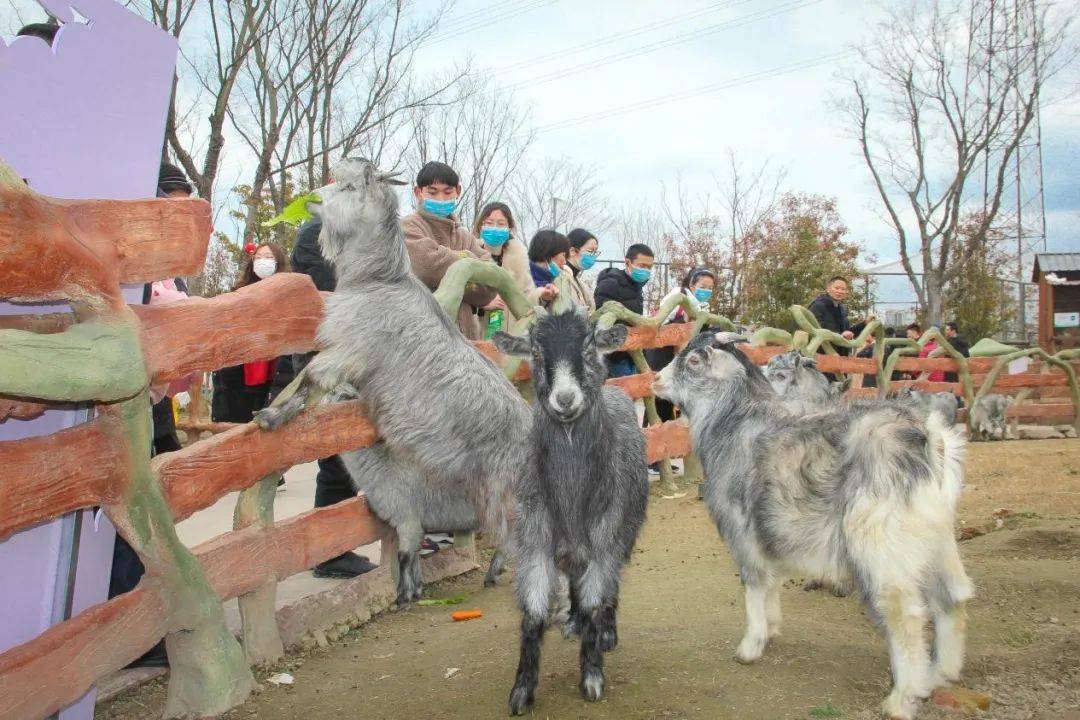 2022南通冬季游活动7