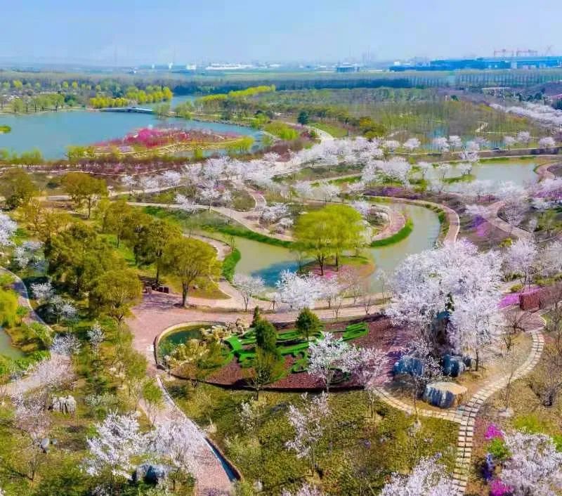 2023年开沙岛马拉松1