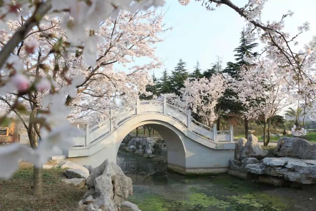 洲际梦幻岛2