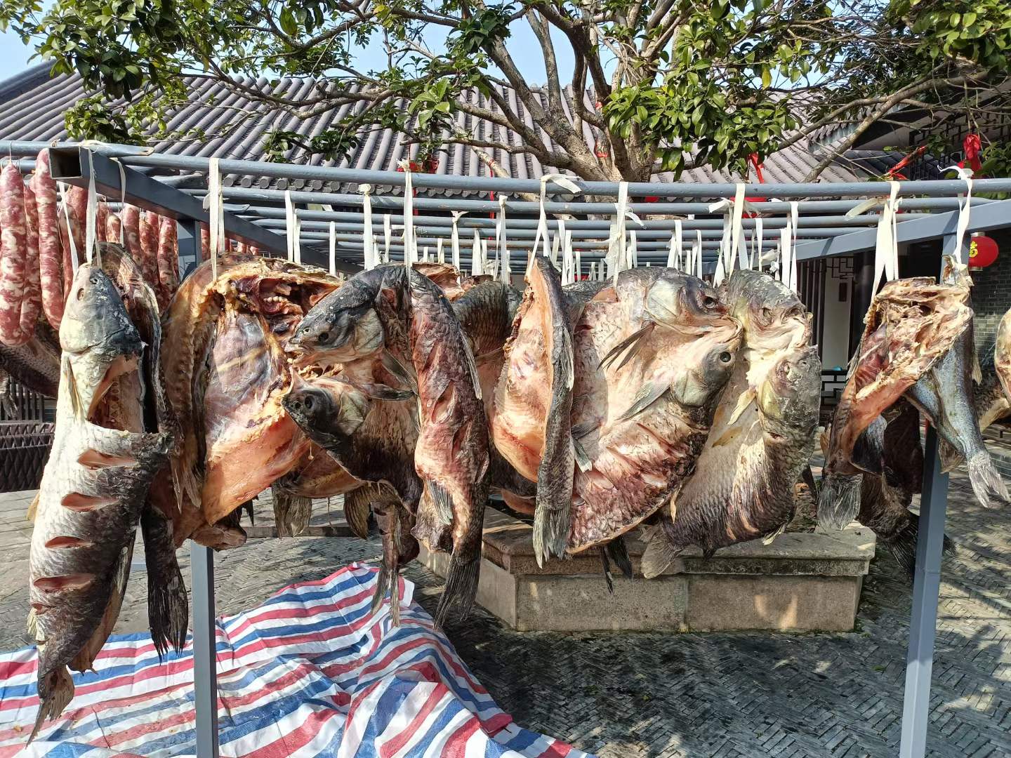 咸鱼