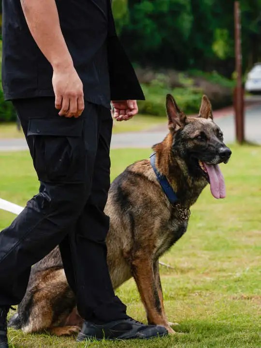 小警察1