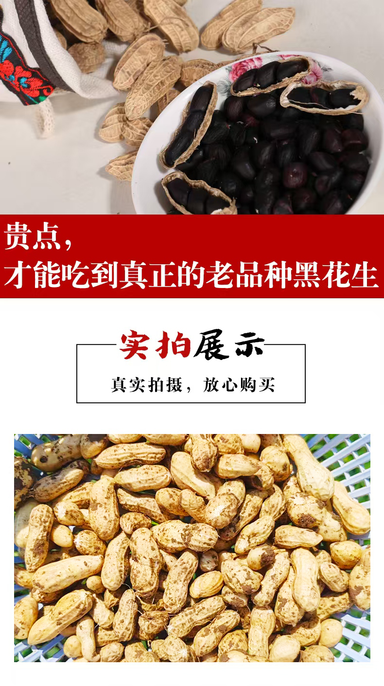 开沙岛黑花生10