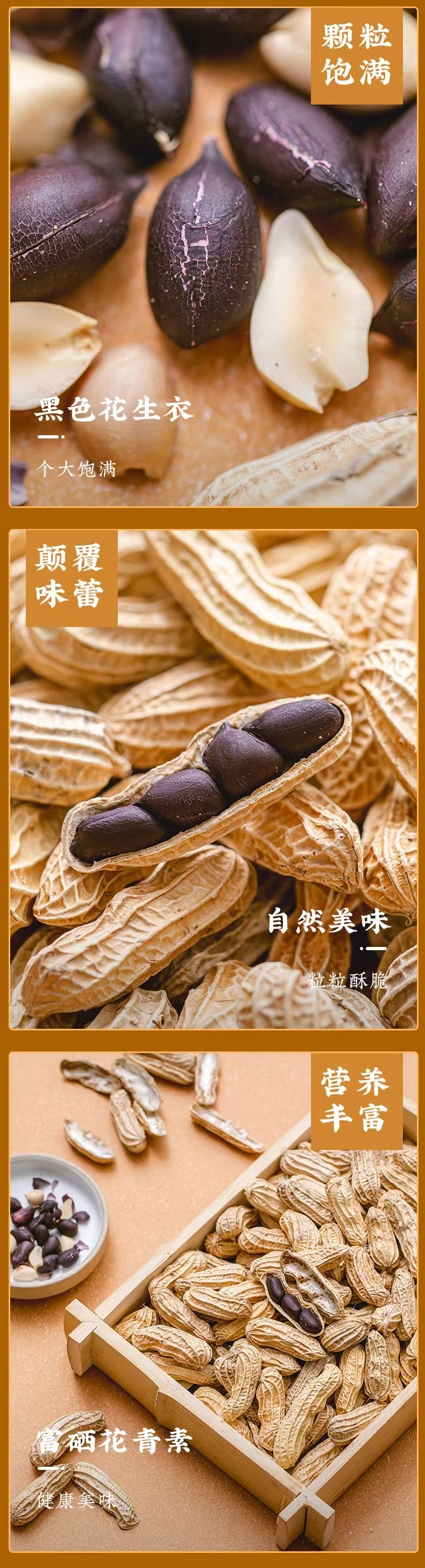 开沙岛黑花生3