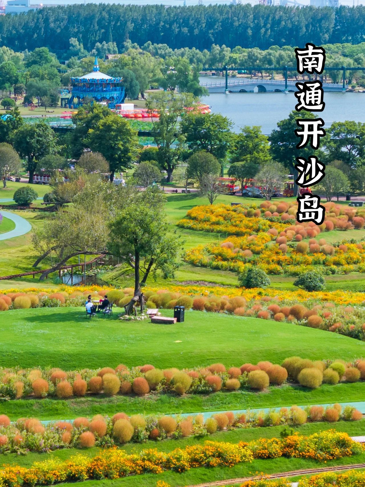 南通开沙岛1