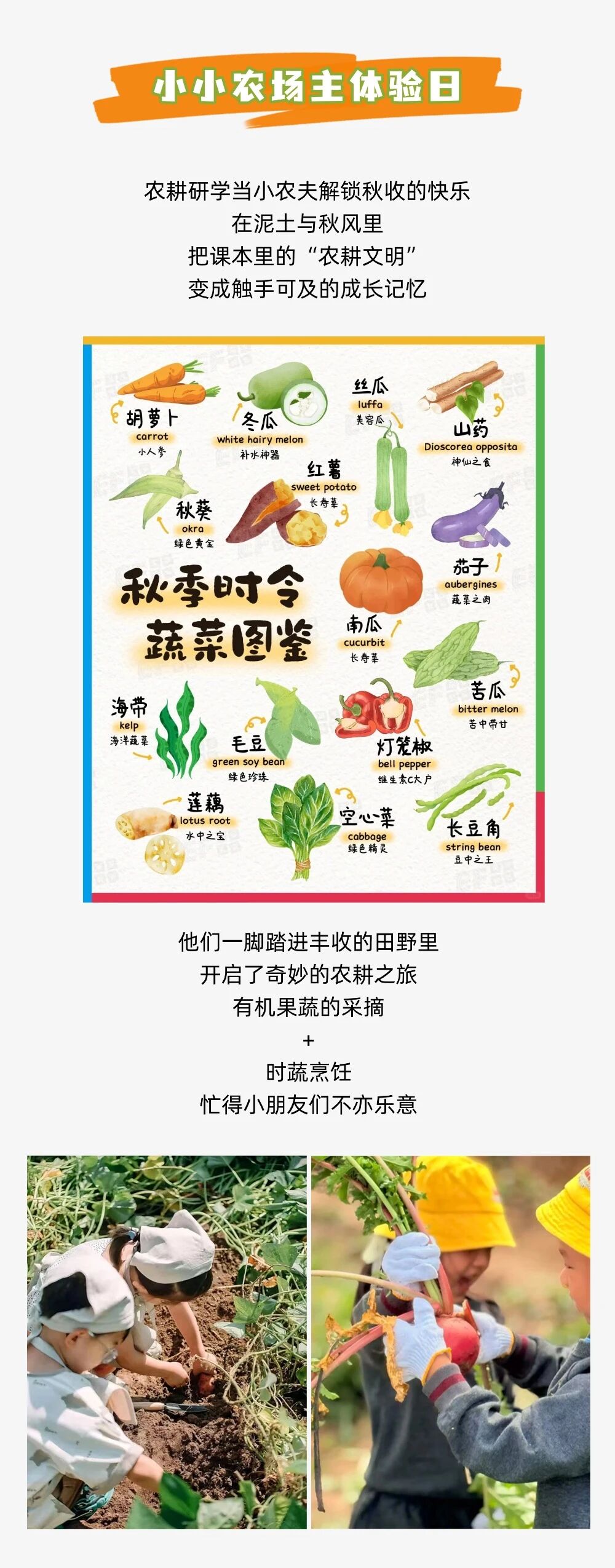 研学活动6