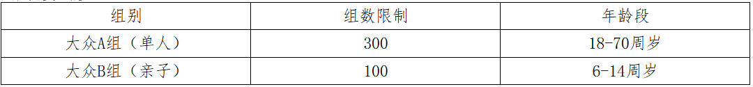 比赛组别