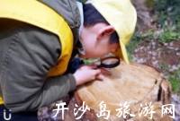 江苏军事、体育主题的夏令营活动哪里比较好？